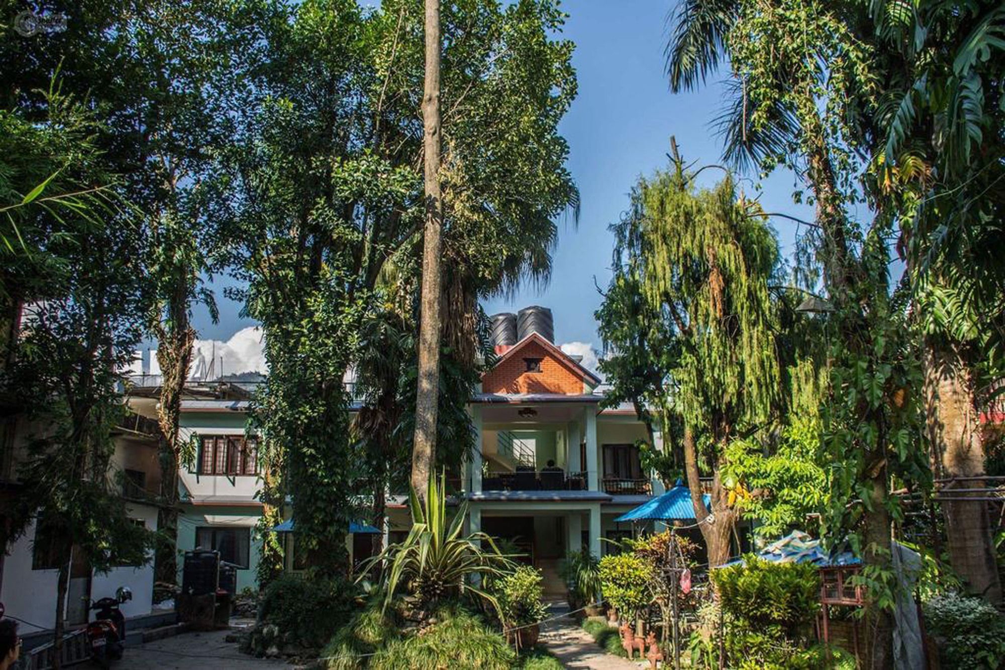 Yeti Guest House Pokhara Eksteriør billede